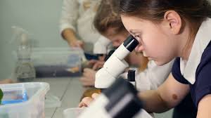 Обида микроскоп. Микроскоп для детей. Ребенок у микроскопа в школе. Ученик с микроскопом. Занятие микроскоп.